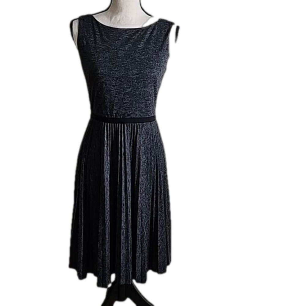 Loft Pleated Dress